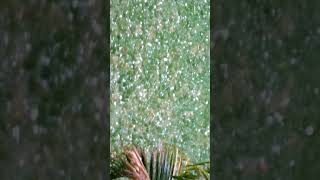 Hail storm in jalna