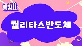 금산 전문가의 진단! '퀄리타스반도체' [랭킹쇼, 오 나의 주식] #랭킹쇼 #토마토증권통