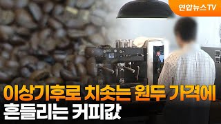 이상기후로 치솟는 원두 가격에…흔들리는 커피값 / 연합뉴스TV (YonhapnewsTV)