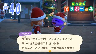 【あつまれどうぶつの森 #40】クリスマスイブ！サンタさんじゃなくてジングルなのね！