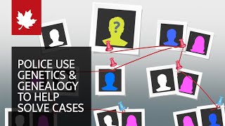 How police use genetics and genealogy to help solve cold cases
