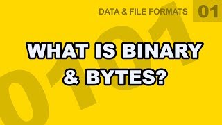 Data File Formats: 01 - What is Binary & Bytes