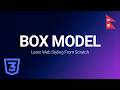 Master the CSS Box Model | Complete Beginner Guide