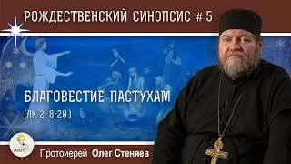 Рождественский синопсис #5. Благовестие пастухам (Лк. 2:8-20).  Протоиерей Олег Стеняев