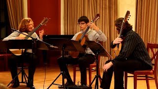 Pavlovits: The life of E 3rd mov. - Tritonus Guitar trio