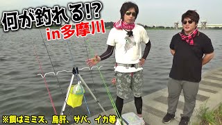 外来魚の宝庫「多摩川」で美味な淡水魚を釣りまくって、食べ散らかすｗｗ【完全版】