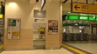 【貴重映像】高崎駅 新幹線改札 入場