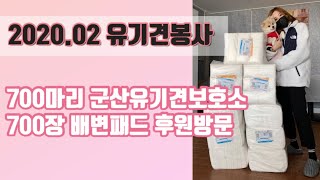 [군산유기견보호소] 700마리 천사들 접선!! 700장 패드 후원 방문!!