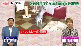 【予告③】「買い主が見てみたい」2025年2月9日（日）ごご1時55分放送