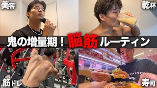 【体重+5kg】1日2回ジムで筋トレする25歳の脳筋ルーティーン。