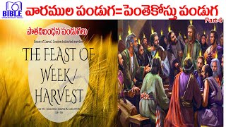 Pentecostal feast or Harvest or Weeks Festivals పెంతేకొస్తు పండుగ EP-109 ||BibleUnknownFactsTelugu||