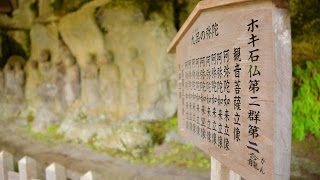 Usuki Stone Buddhas 臼杵石仏は壁面の磨崖仏に圧倒される:Discover Japan