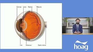 The Aging Eye: What's Normal \u0026 What's Not?