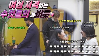 (sub)[몰카]산란기에 접어든 며루칰ㅋㅋ밑도끝도없이 들이대깈ㅋㅋㅋㅋ