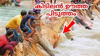 ഊത്ത പിടുത്തം |fishing in mansoon season |