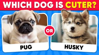 Would You Rather...? DOGS Edition 🐶 Which Dog is Cuter? | Quiz Kingdom