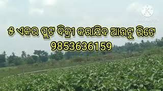 ୫ଏକର ଆଉଟ୍ ରେଟ ରେ ବିକ୍ରୀ କରାଯିବ 5akar out reat re bikri karagib ‎@DancerSanatan1  #Mo odisha jd