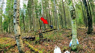 ГРИБНИК БЫЛ В ШОКЕ КОГДА ВСТРЕТИЛ ЕГО! НАШЁЛ МНОГО ГРИБОВ СОБРАЛ МОХ! ТИХАЯ ОХОТА ГРИБЫ 2022