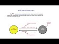 Asynchronous JavaScript, AJAX & APIs - JavaScript