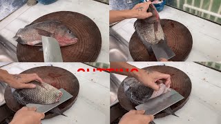 Alive Fish Cutting Knife Skills | How Professional fish cutting | Cutting in Restaurants | Fishing