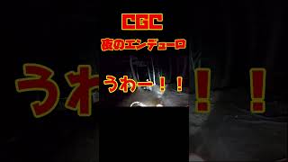 「これがハードエンデューロか・・・」CGC夜のエンデューロっていうオフロードバイクのレースに参加してみた（その2）