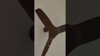 Havells Stealth Wooden Fan 🔥 #shorts