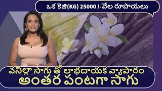 VANILLA FARMING TELUGU HIGH PROFITABLE| వనిల్లా సాగు  ఎంత లాభం పొందగలరు|#PRTNAROY#FARMING