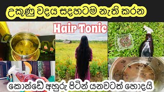 කරාබු නැට්ටෙන් කොන්ඩේ ඉක්මනින් වවමු | How to remove head lice |Cloves Hair Treatmet