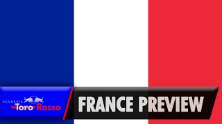 F1 2019: French Grand Prixview - Alex Albon