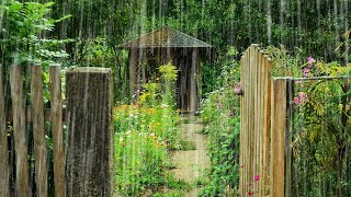 비가 내리는 정원, 빗소리 (고음질) | 10시간 | 집중, 수면, 치유, 공부 | 백색소음 | 10분 뒤 검은화면 | Rain Sound, Rany Garden | ASMR