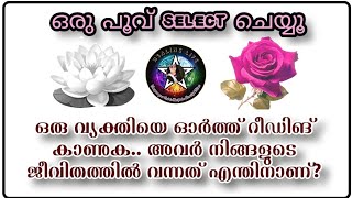 കാണാതെ പോവരുത്😇 ഒരു വ്യക്തിയെ ഓർത്ത് reading കാണുക.അവർ നിങ്ങളുടെ ജീവിതത്തിൽ വന്നത് എന്തിന്?🧿🔮 #tarot