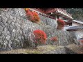 【full hd】日光山中禅寺（立木観音）の紅葉｜nikkosan chuzenji temple autumn leaves（autumn colors）｜tachikikannon