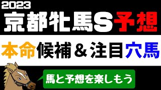 【京都牝馬ステークス2023 予想】注目馬紹介 本命候補と注目穴馬【バーチャルサラブレッド・リュウタロウ/競馬Vtuber】