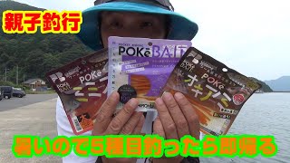 【五島列島】おっさん達の日常＃139【親子釣行　暑いので5種目釣ったら即帰る】