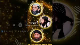 Murshid Saeen مرشد سئیں __ New Kalaam 2025 __ Mufti Saeed Arshad Al Hussaini(720P_60FPS)