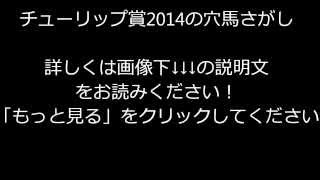 チューリップ賞2014の穴馬さがし