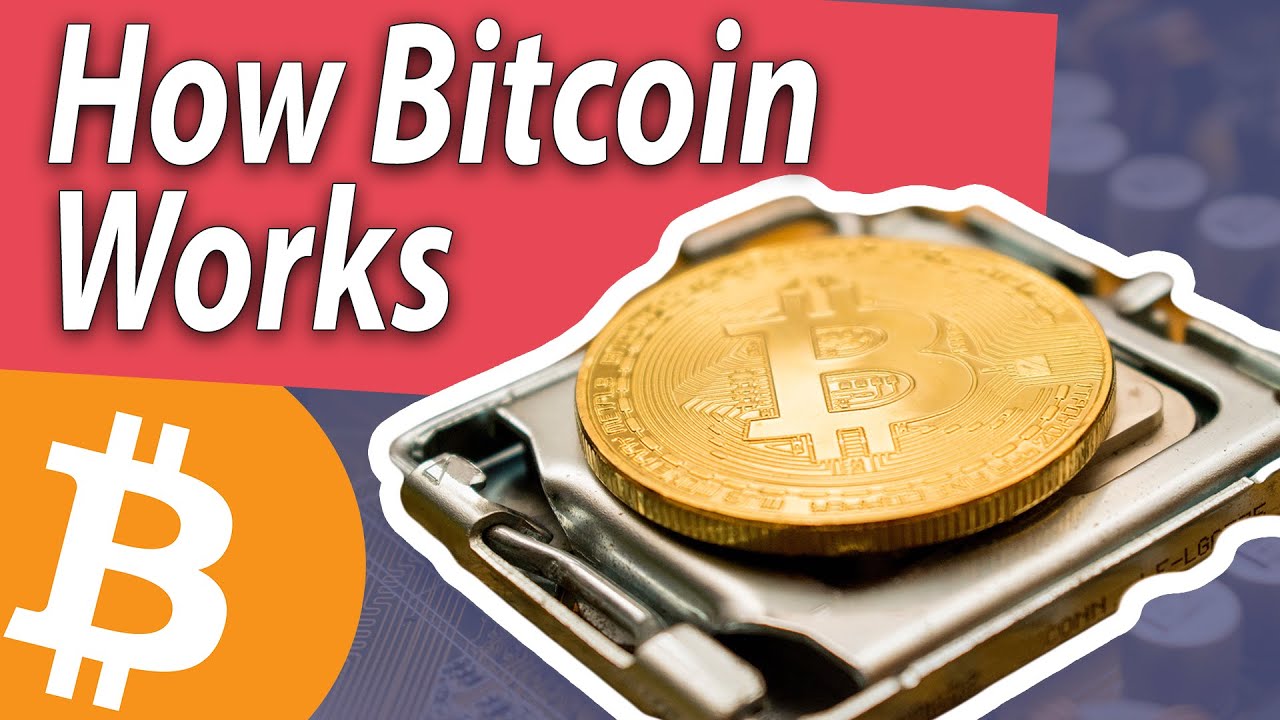 How Does Bitcoin Work? | Beginners Bitcoin Course - YouTube