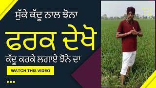 ਸੁਕੇ ਕੱਦੂ ਨਾਲ ਝੋਨਾ ਅਤੇ ਕੱਦੂ ਕਰਕੇ ਲਾਏ ਝੋਨੇ ਦਾ ਫਰਕ ਦੇਖੋ..ਉੱਡ ਜਾਣਗੇ ਹੋਸ਼