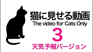 【ネコ用】猫に見せる動画３ 天気予報ver. Weather forecast version【Cat Games】Видео только для кошек