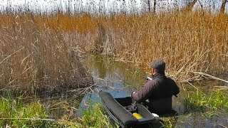 Рыбалка на КРУПНОГО КАРАСЯ в сухом Камыше на Поплавок или Кивок. Сказочная ловля и душевный отдых