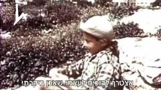 The Spielberg Jewish Film Archive - Jerusalem of Light