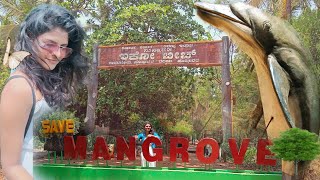 Honnavar Vlog ll Eco Beach ll Mangroves Board walk