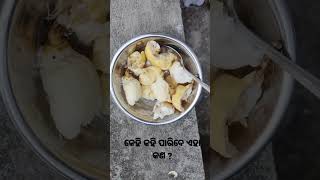 # ଏହାକୁ କଣ କୁହନ୍ତି #ତାଳ ଖୁକୁଡି ଆପଣ କଣ କୁହନ୍ତି comment karibe .