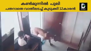 GooDDay 🙂 കണ്‍മുന്നില്‍ പുലി, പതറാതെ വാതിലടച്ച് കുടുക്കി 12കാരന്‍, കയ്യടി- വീഡിയോ