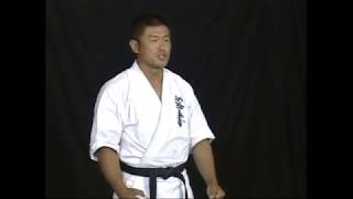 【新極真会】野本尚裕直伝「下段廻し蹴りのコツ」   SHINKYOKUSHINKAI