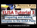 ELISA Tutorial 3: Preparing and Adding Samples to the ELISA Plate