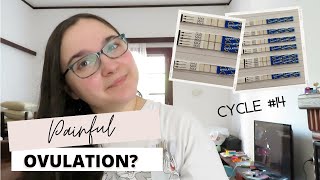 OPK Line Progression and Painful Ovulation || One Year of TTC || TTC Baby 3 #ttc #ttcjourney