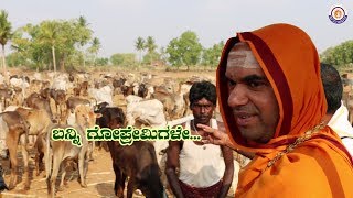 Crown of projects from SriMatha for conserving cow-cowherds culture!