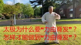 太极为什么要“力由脊发”？怎样才能做到“力由脊发”？中国传统武术太极、形意、八卦三大内家拳之首的太极拳解析