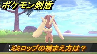 ポケモン剣盾　ミミロップを捕まえる方法！オススメの場所は？天気は？ポケモン図鑑コンプへの道！　最新版【ポケモンソード・シールド】